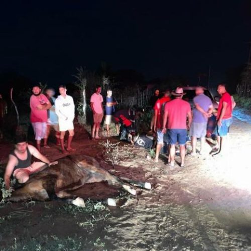 Dois homens ficam gravemente feridos após acidente com cavalo em Conceição do Coité