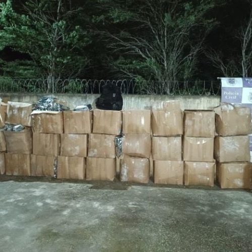 Polícia apreende 345 kg de maconha e prende suspeitos durante Operação Força Total em Teofilândia