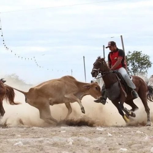 Barrocas: Vaquejada “Circuito MS dos Amigos” é cancelada após fiscalização do MP