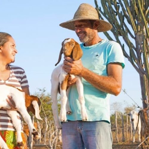 Projeto baiano é eleito o melhor do mundo pelo Fundo Internacional de Desenvolvimento Agrícola