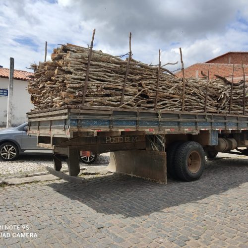 Polícia apreende caminhão carregado com madeira nativa em Nova Fátima