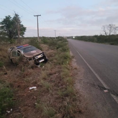 Animal na pista provoca acidente com viatura da PM