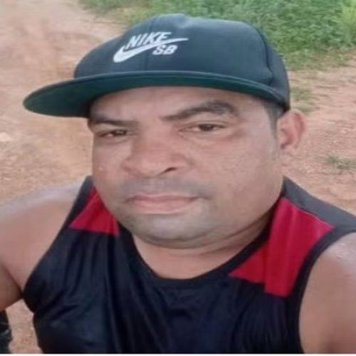 Cadeirante morre após ataque de abelhas no interior da Bahia