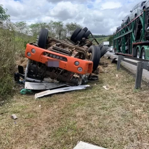 Carga de abacaxi é saqueada após caminhão tombar na BR-116